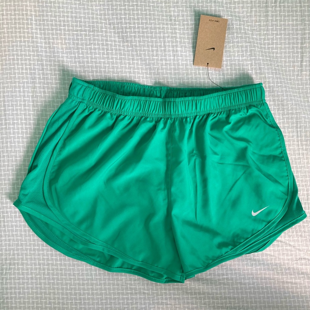 Nike Dri-fit Shorts